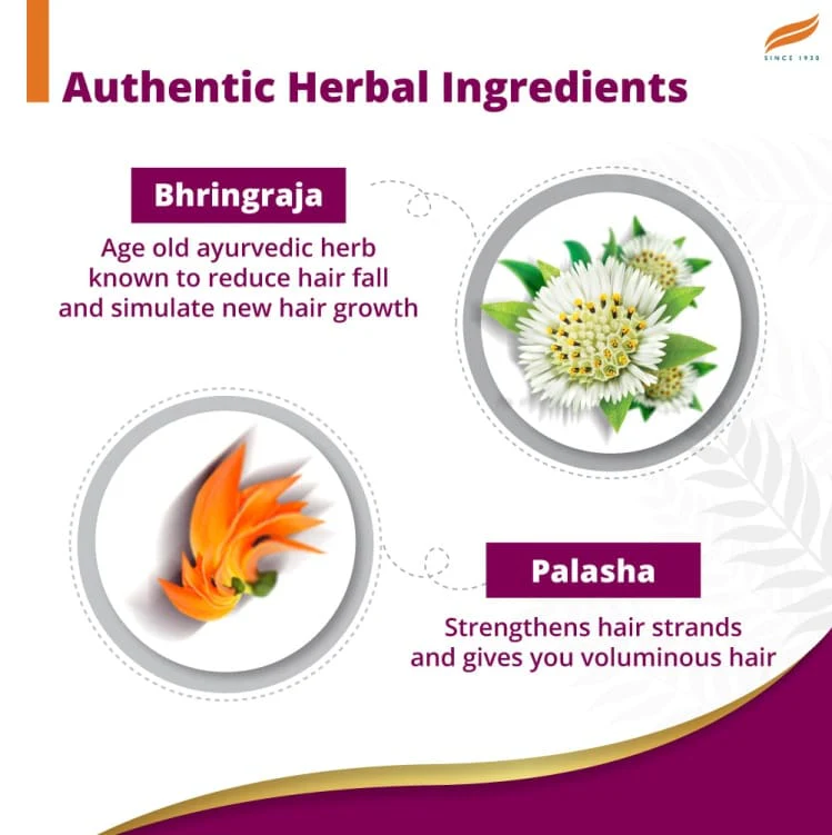 Himalaya Anti-Hair Fall Bhringaraja Shampoo, 340ml - Image 4