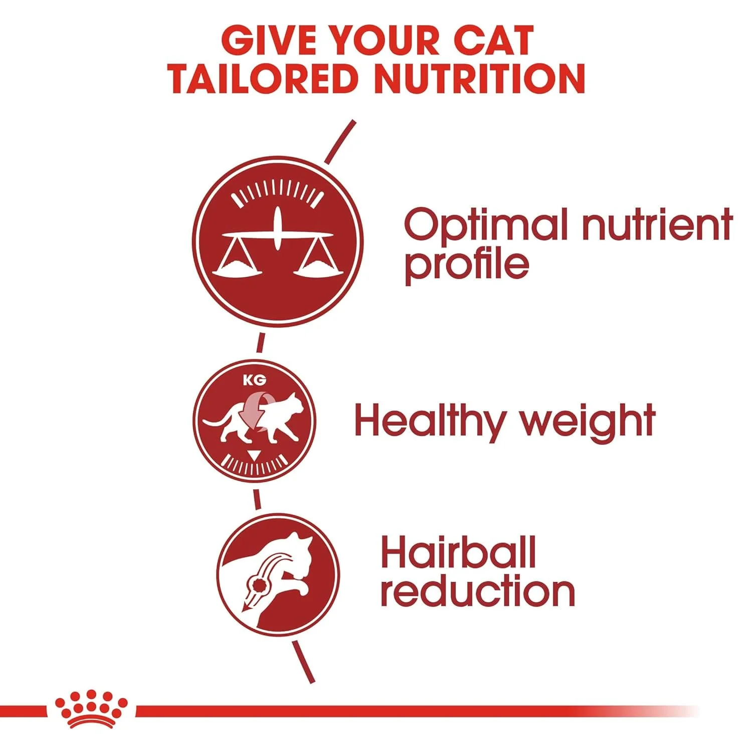 Royal Canin Regular Fit 32, 2kg - Image 2