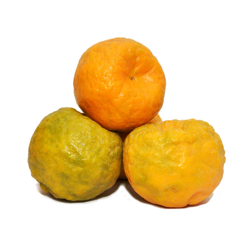 Fruits & Veggies